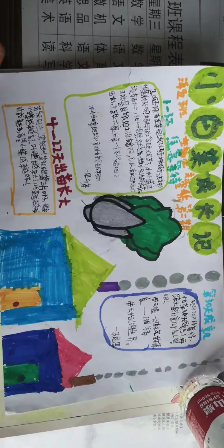 —4月25日 三年五班