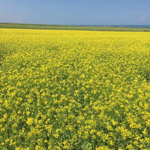 ［扎实推进  全面提升反洗钱工作成效］------2017年青海省金融机构反洗钱工作联系会议