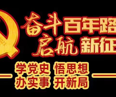 学习党史明初心，锤炼党性担使命——洛龙区西高明德小学党支部开展党史学习教育