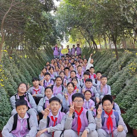 “研”在行走中 “学”在自然里——开封市集英小学六年级秋季研学活动