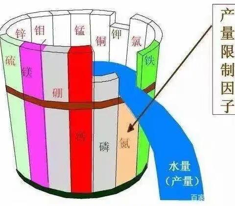 海餐沃肥料为什么如此出众，你了解吗？