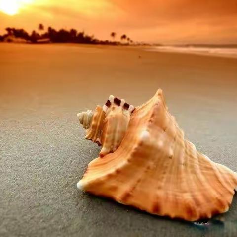 🌳人生百年，唯此二十年为金，千万珍惜。（谨将此文献给身处黄金时代的的同龄人,  祝您健康！）