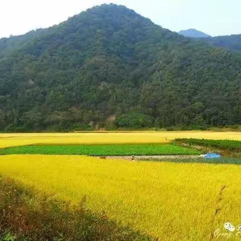 🍁가을이 안겨주는 마음
