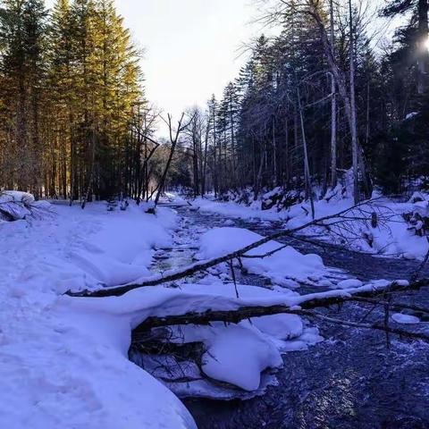 人在什么时候最明白？