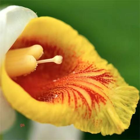 마흔과 오십 사이