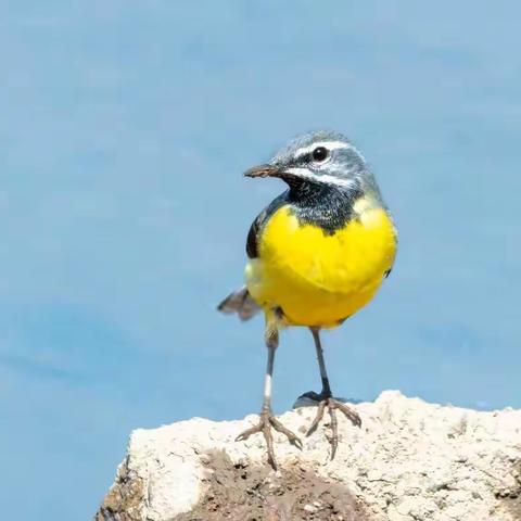 🌷 세월이 가는 소리