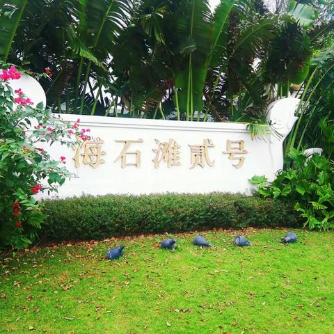 生活不止是面朝大海，春暖花开，还有诗和远方！