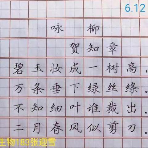 生物183 钢笔字 粉笔字 展示