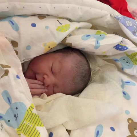 小娃娃变大娃娃