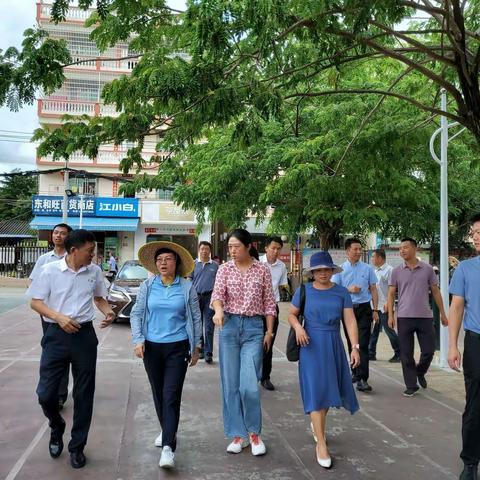 热烈欢迎谭萍常委莅临红土坎社区做工作调研