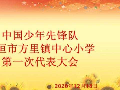 方里镇中心小学第一次少先队代表大会