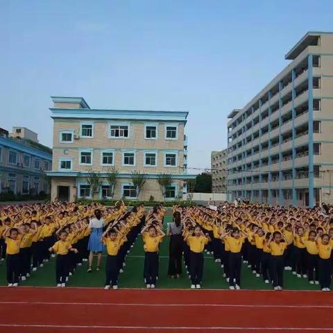 立新湖外国语学校二年级手工作品展示