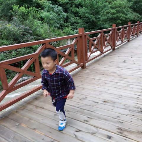 我的神农架之行