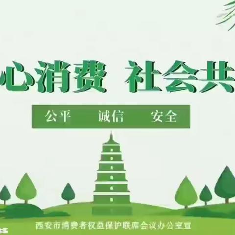 双生分局认真开展“放心消费，社会共建” 宣传活动