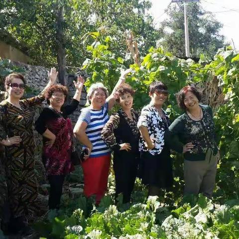 凝聚知青情的张哥菜园