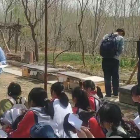 【接纳涵育】之二：高二开展户外拓展团辅