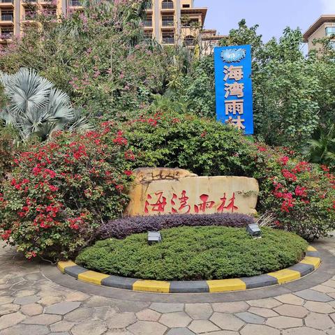 候鸟家园 — 海湾雨林