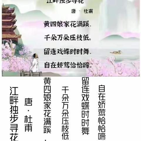 【羊村庙小学郭倩老师】古诗《江畔独步寻花》赏析