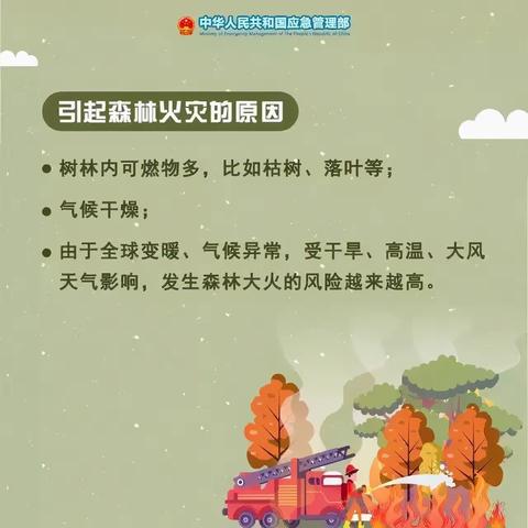 严防森林火灾，共建绿色家园