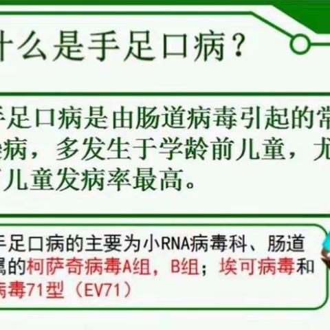 达秀小学（幼儿园）预防手足口病暨包虫病防治知识宣传