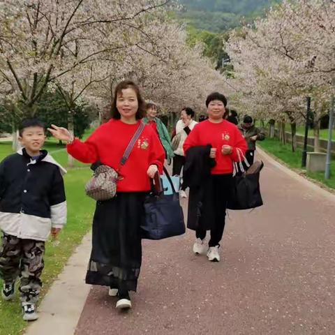花海   开心快乐的一天