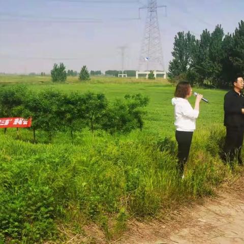 向阳街道召开小麦条锈病防治暨 “一喷三防”现场会
