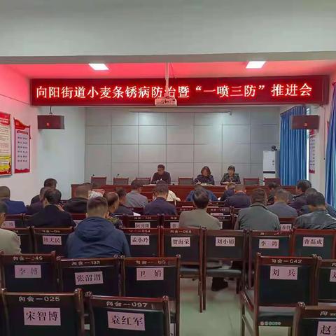 向阳街道召开小麦条锈病防治暨 “一喷三防”推进会
