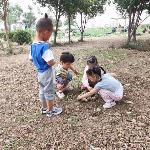 黑塔镇中心幼儿园安吉游戏—让真游戏点亮童年