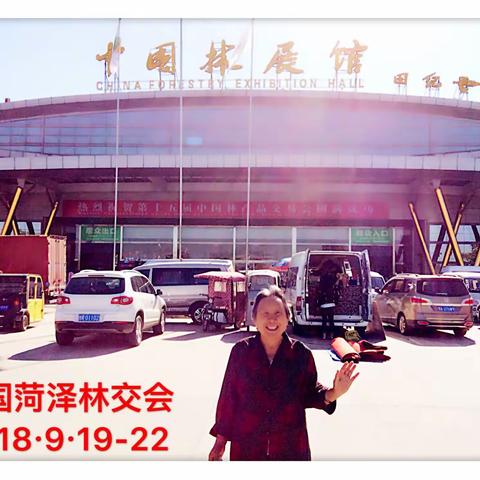 中秋节前的林交会掠影！2018年9月22日上午菏泽·中国林展舘