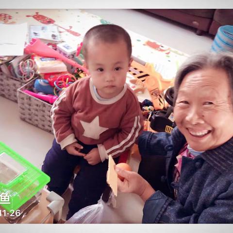 果果的照片！2018年11月26日