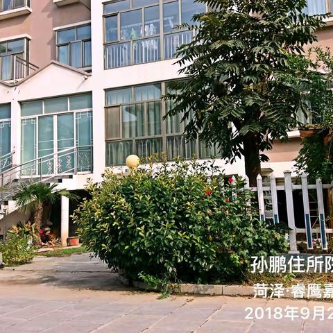 院中園里种菜，其乐无穷！2018年9月26日山东·菏泽