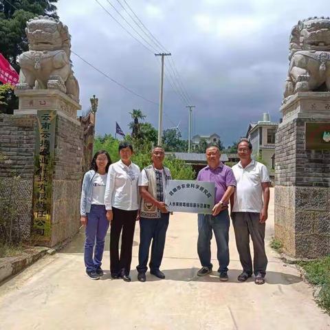 喜讯！云南云搏受立为市农科院人参果脱毒苗繁育示范基地