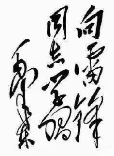【雷锋精神永流传  争做新时代好少年——加区一小  六年四班 杨大力】