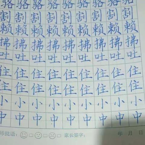 执笔为友、以墨相伴——艺体综合教师加强练字基本功