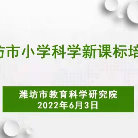 共研新课标，领航新课堂——寿光市弥水未来学校参加潍坊市小学科学新课标线上培训会议