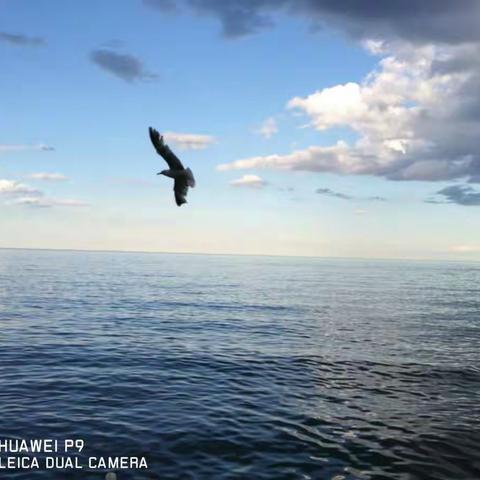 大自然巧绘夕阳下的安大略湖