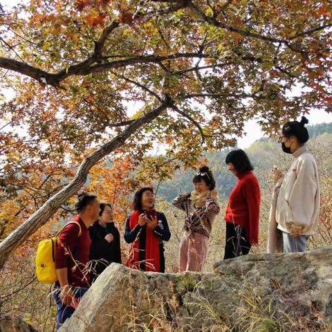 北山北，渤海南，流连忘返寒同山