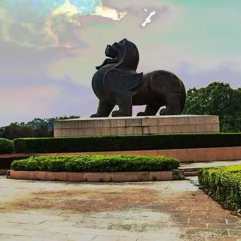 一个城市和一个客厅