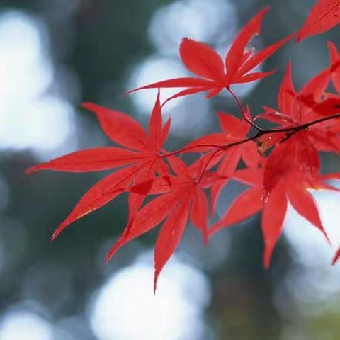 说说“有长性”