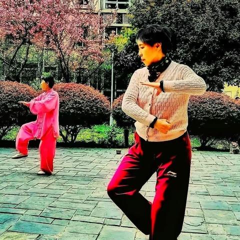 太极情缘伴夕阳