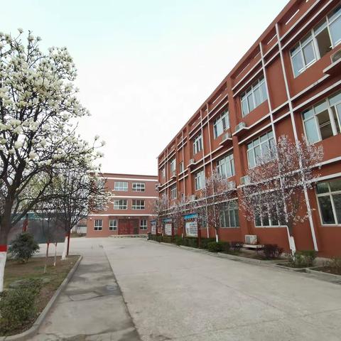 细检查 严整改 推动教育质量再提升——灞桥区老洞小学迎接西安市教育局质量提升督导工作