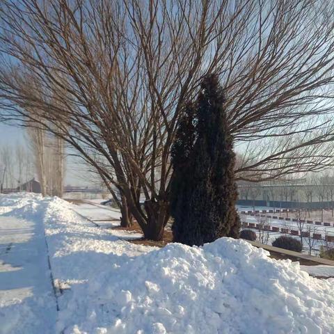 “义务除雪，情暖冬日”————周郑第74小学家长义务除雪劳动纪实