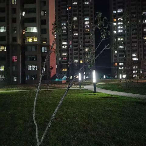 一个人的夜晚