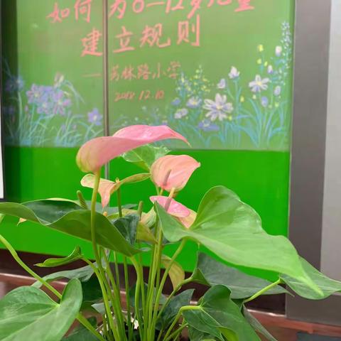 芳林路小学爱和自由教师培训—如何为6-12岁儿童建立规则