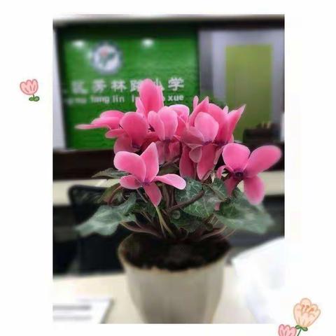 “熏陶历史文化，弘扬爱国精神”芳林路小学六年级春季校外研学