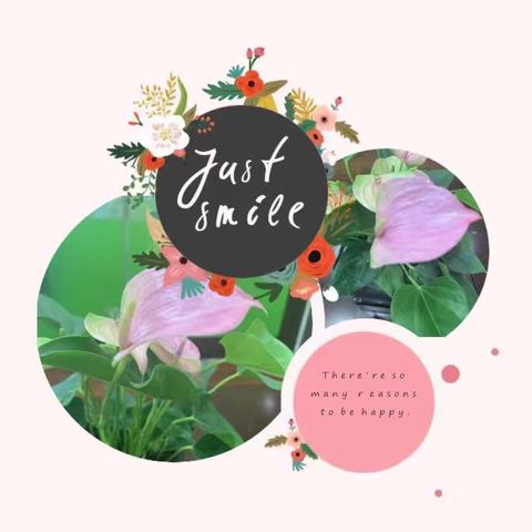 芳林路小学爱和自由小学教师培训—PACE教学体系