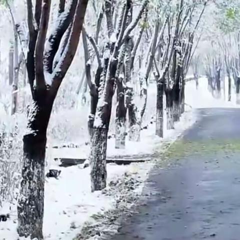 初入社会第一天