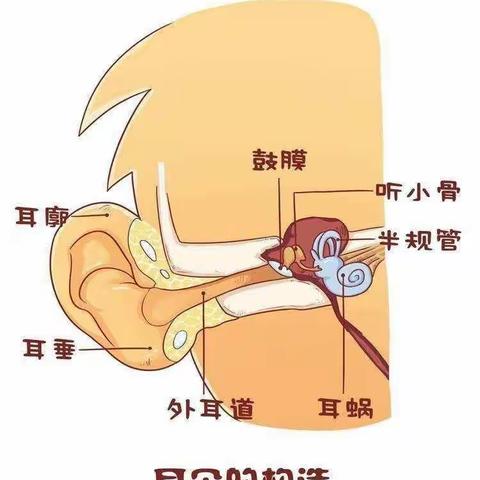 关爱听力健康，聆听精彩未来