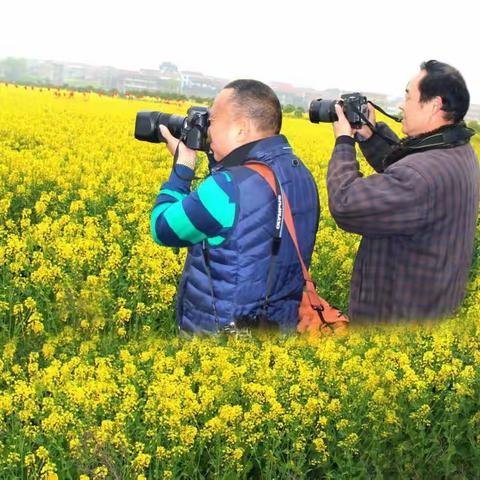 湖北武穴市第五届油菜花赏花节采风(之二)