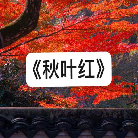 《秋叶红》